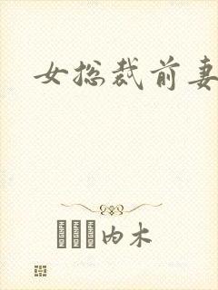 女总裁前妻小说