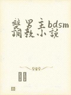 双男主bdsm调教小说