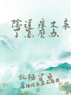 阴道痒又来月经了怎么办