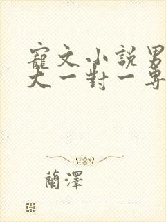 宠文小说男主强大一对一专宠短篇