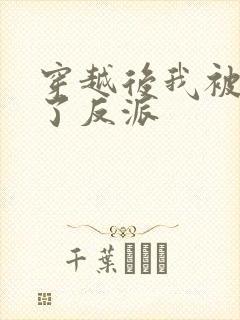 穿越后我被迫成了反派