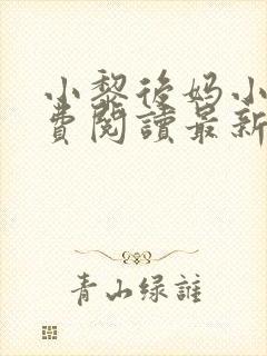 小黎后妈小说免费阅读最新章节更新