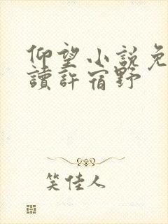 仰望小说免费阅读许宿野