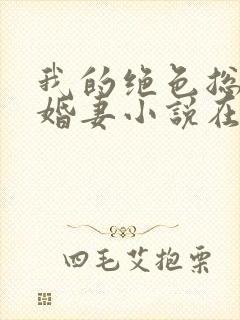 我的绝色总裁未婚妻小说在线