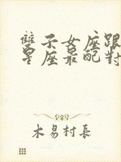 双子女座跟什么星座最配对