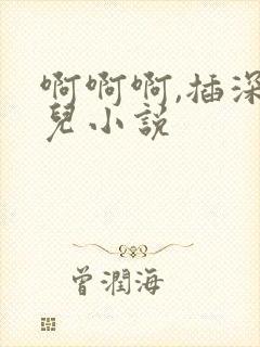 啊啊啊,插深点儿小说