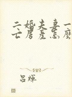 二婚夫妻一方死亡房产怎么继承