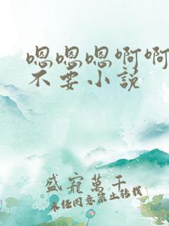 嗯嗯嗯啊啊啊啊不要小说