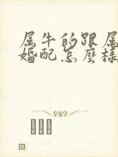 属牛的跟属马的婚配怎么样