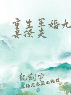 重生军婚九零辣妻撩夫