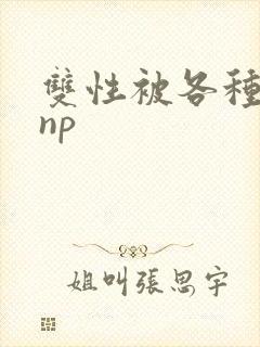 双性被各种淫玩np