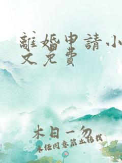 离婚申请小说全文免费