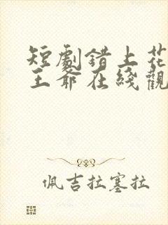 短剧错上花轿嫁王爷在线观看