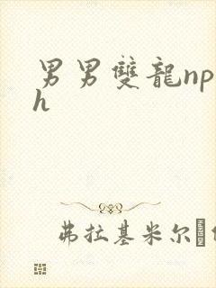 男男双龙np高h
