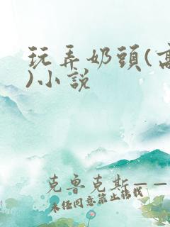 玩弄奶头(高h)小说