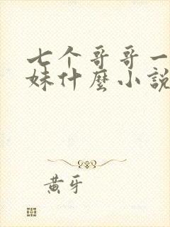 七个哥哥一个妹妹什么小说