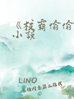 《校霸偷偷爱》小说