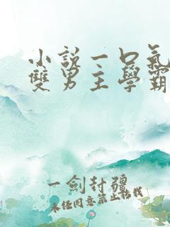 小说一口气看完双男主学霸×校霸