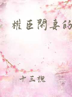 权臣闲妻的小说