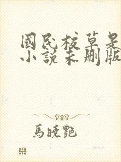 国民校草是女生小说未删版全文