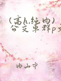 (高h,纯肉)公交车群p文小说