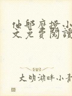 他那么撩小说全文免费阅读无弹窗