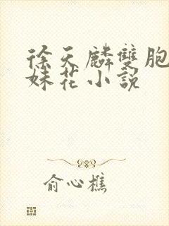 徐天麟双胞胎姐妹花小说