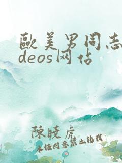 欧美男同志videos网站