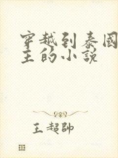 穿越到泰国双男主的小说