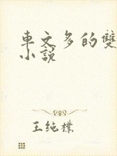 车文多的双男主小说