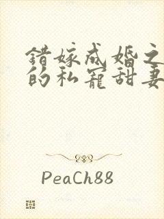 错嫁成婚之总裁的私宠甜妻