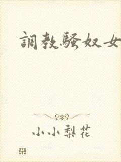 调教骚奴女攻