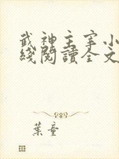 武神主宰小说在线阅读全文