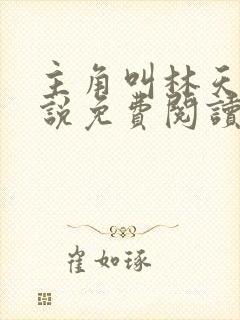 主角叫林天的小说免费阅读