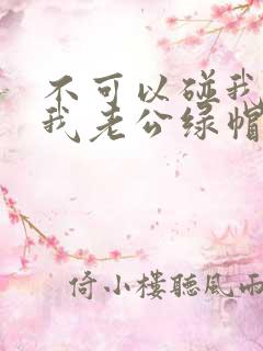 不可以碰我我给我老公绿帽子操坏后小说