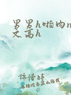 男男h啪肉np文高h