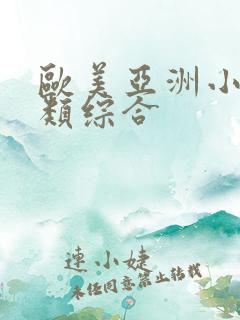 欧美亚洲小说另类综合