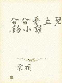 公公爱上儿媳妇,的小说