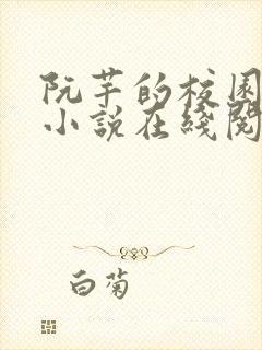 阮芊的校园日常小说在线阅读无弹窗