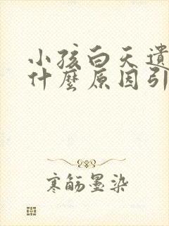 小孩白天遗尿是什么原因引起的