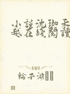 小说沈珈禾陆时越在线阅读