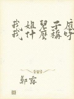 我姐儿子应该叫我什么称呼