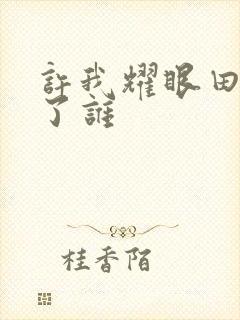 许我耀眼田雷演了谁