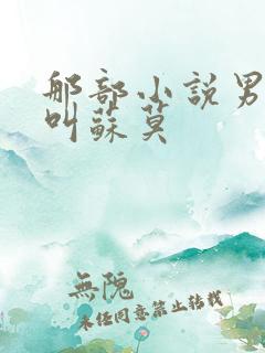 那部小说男主角叫苏莫