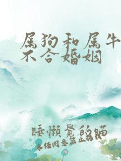 属狗和属牛的合不合婚姻