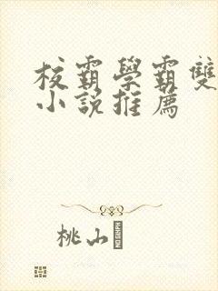 校霸学霸双男主小说推荐