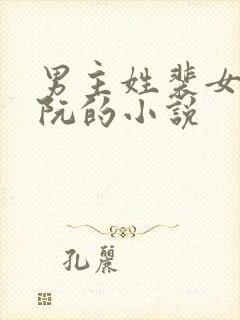 男主姓裴女主姓阮的小说