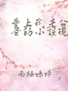 爱上我老公的爸爸的小说现言