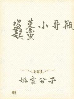 盗墓小哥瓶邪张起灵