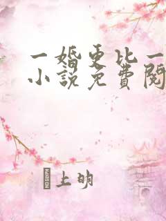 一婚更比一婚高小说免费阅读